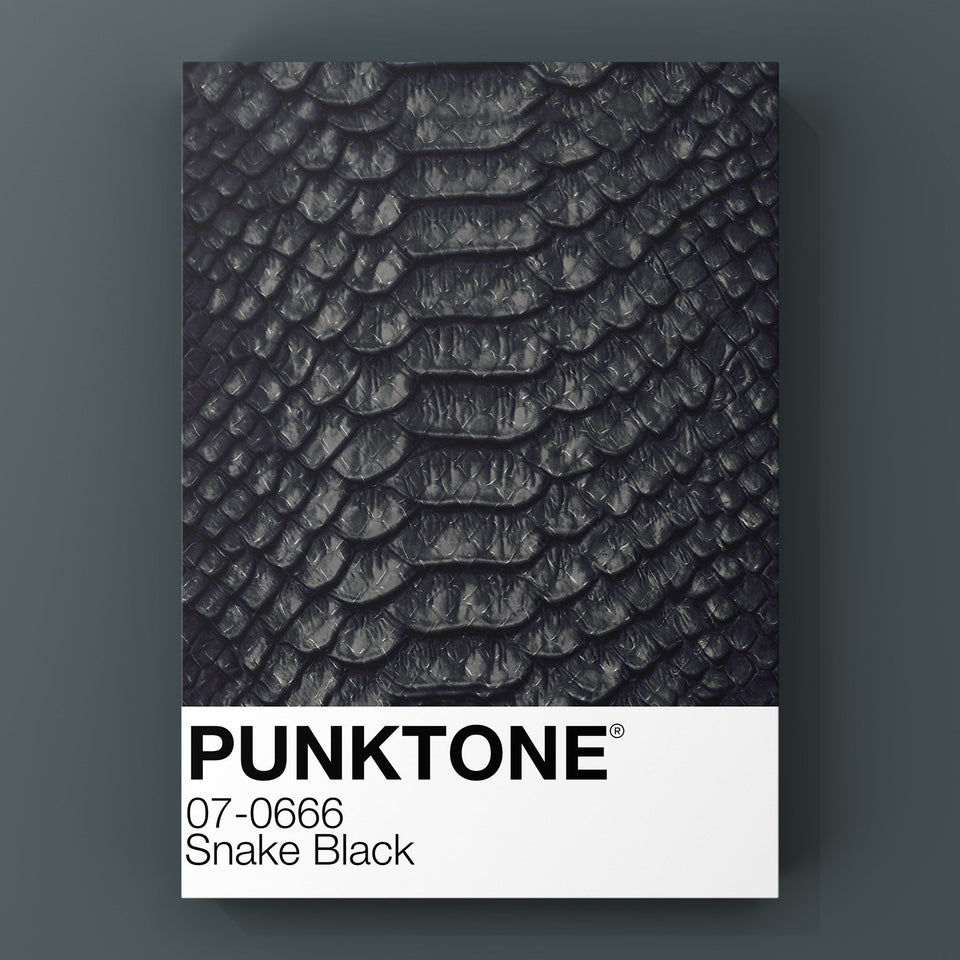 Punktone (Snake Black) Print Punk Haus 