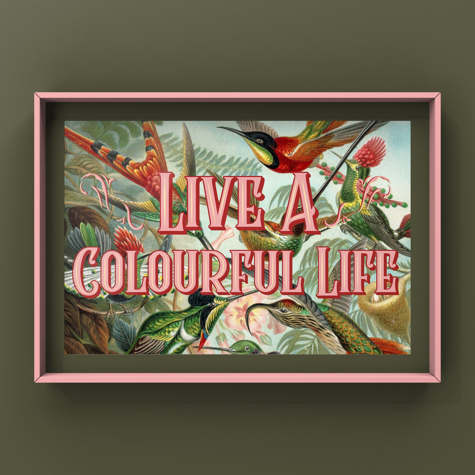 Live A Colourful Life Print Punk Haus 